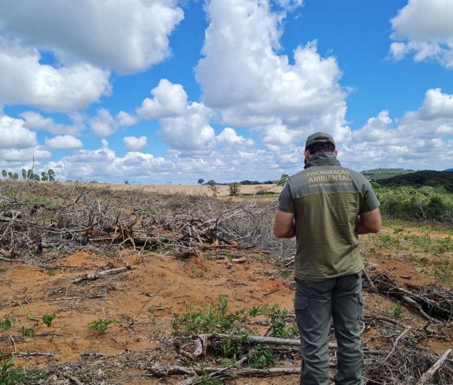 operacao-da-semad-flagra-desmatamento-ilegal-em-118-hectares-na-regiao-do-alto-sao-francisco 