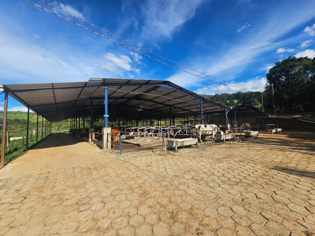 instituto-mineiro-de-agropecuaria-certifica-primeira-propriedade-leiteira-no-sul-do-estado