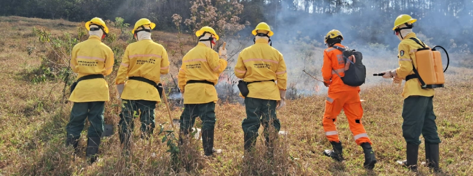 corpo-de-bombeiros-abre-280-vagas-temporarias-para-brigadistas-florestais