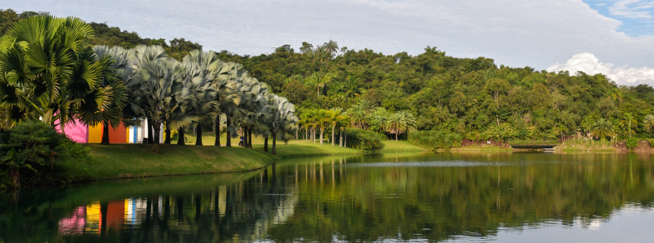vila-gale-brumadinho:-novo-hotel-da-rede-em-minas-gerais-sera-construido-proximo-ao-inhotim