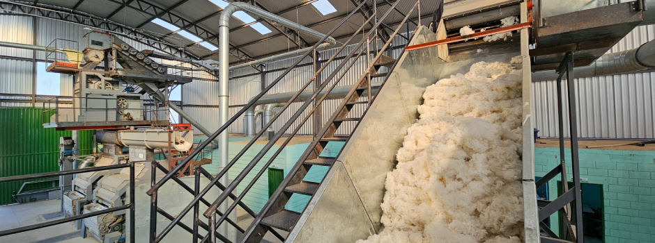 inicio-das-atividades-do-ceditac-marca-retomada-da-producao-de-algodao-no-norte-de-minas