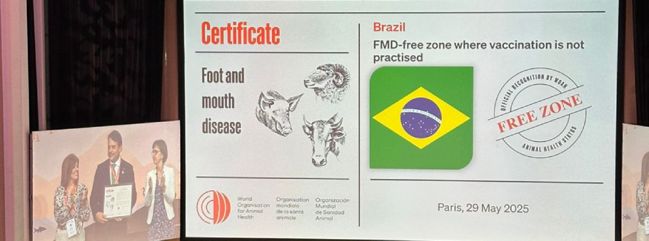minas-gerais-e-reconhecida-internacionalmente-como-livre-de-febre-aftosa-sem-vacinacao