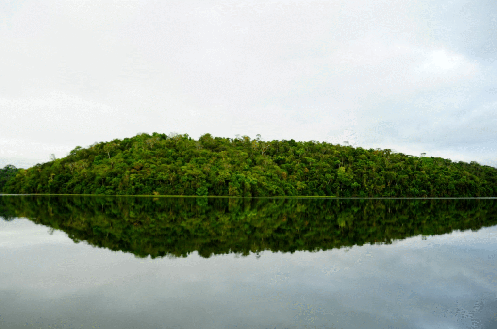 sisema-promove-semana-do-meio-ambiente-com-foco-em-transformacao-climatica-e-sustentavel