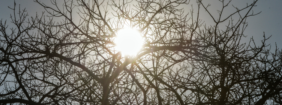 governo-de-minas-alerta-para-baixa-umidade-do-ar-ate-quarta-feira-(16/7)