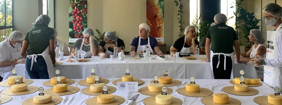 comecam-as-inscricoes-para-a-escolha-dos-melhores-queijos-artesanais-de-minas-gerais-em-2025