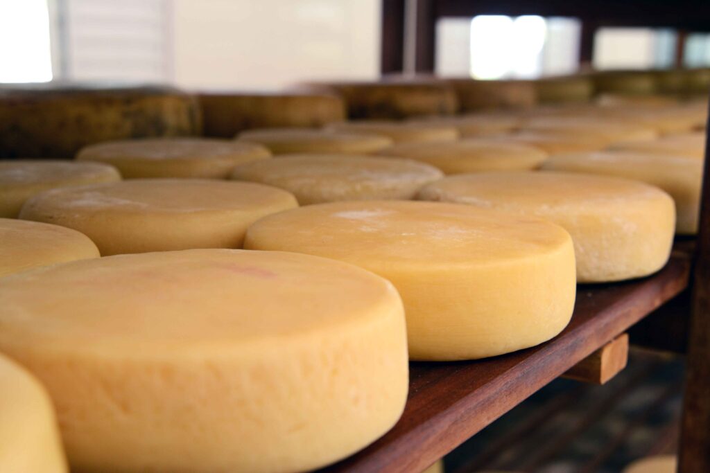 queijoteca-busca-preservar-especificidades-e-sabores-dos-queijos-artesanais-mineiros