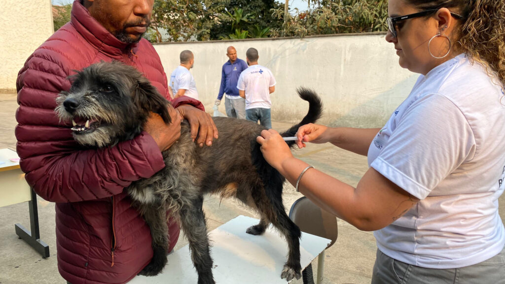 minas-gerais-da-inicio-a-campanha-de-vacinacao-contra-a-raiva-em-caes-e-gatos   