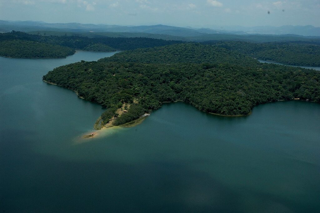 minas-avanca-no-reflorestamento-e-ultrapassa-70%-da-meta-de-restauracao-da-mata-atlantica