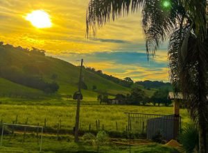 turismo-rural-e-uma-boa-opcao-de-passeio-no-feriado