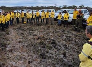 capacitacao-em-queima-prescrita-reforca-prevencao-a-incendios-florestais-em-minas-gerais