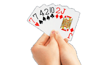 eua-se-dizem-‘decepcionados’-com-retaliacao-do-brasil