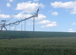 operacao-de-fiscalizacao-acompanha-legalidade-no-uso-de-recursos-hidricos-no-sul-de-minas