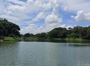 copasa-da-continuidade-a-substituicao-de-interceptor-de-esgoto-na-pampulha