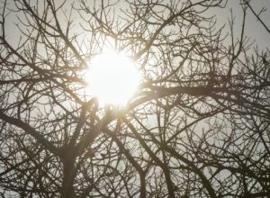 governo-de-minas-alerta-para-baixa-umidade-do-ar-ate-quarta-feira-(16/7)