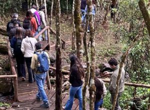 parque-estadual-da-serra-do-brigadeiro-amplia-parceria-com-a-ufv-para-pesquisas-cientificas