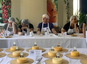 comecam-as-inscricoes-para-a-escolha-dos-melhores-queijos-artesanais-de-minas-gerais-em-2025