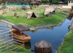 rio:-apos-galinhas-d’angola-aparecerem-mortas,-bioparque-esta-fechado