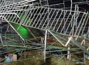 desabamento-de-arquibancada-em-show-no-interior-de-sp-deixa-60-feridos