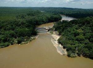 governo-de-minas-abre-consulta-publica-para-gestao-compartilhada-do-parque-estadual-do-rio-doce