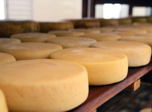 queijoteca-busca-preservar-especificidades-e-sabores-dos-queijos-artesanais-mineiros