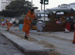 apos-ondas-gigantes,-cinco-pinguins-aparecem-mortos-na-orla-do-rio
