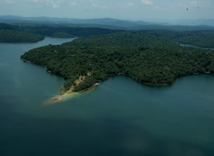 minas-avanca-no-reflorestamento-e-ultrapassa-70%-da-meta-de-restauracao-da-mata-atlantica