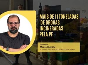 LAYOUT-PADRAO-1