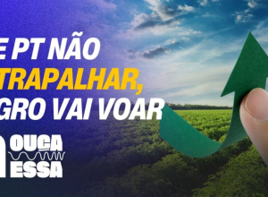 wp-header-logo-12